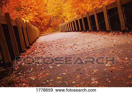 A beautiful pathway View Large Photo Image Stock Photo - A beautiful pathway. Fotosearch