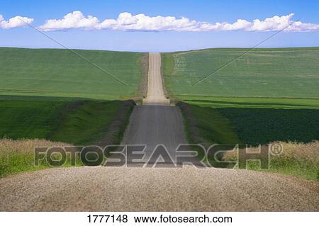 A country road View Large Photo Image Stock Photo - A country road. Fotosearch