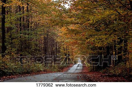 Stock Image - A scenic autumn road. Fotosearch