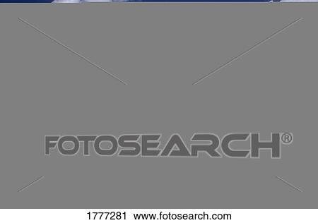 Stock Image - A stony road, Organ Pipe Cactus National Monument, Arizona, U. S. A.. Fotosearch