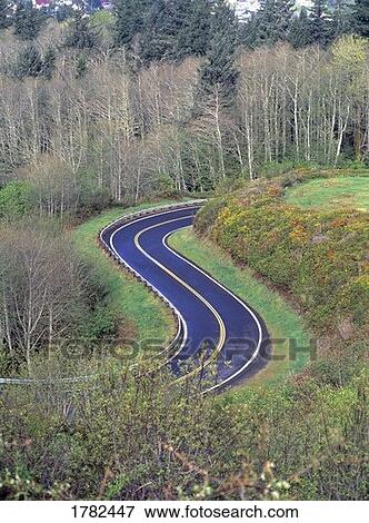 Curved road View Large Photo Image Stock Photo - Curved road. Fotosearch