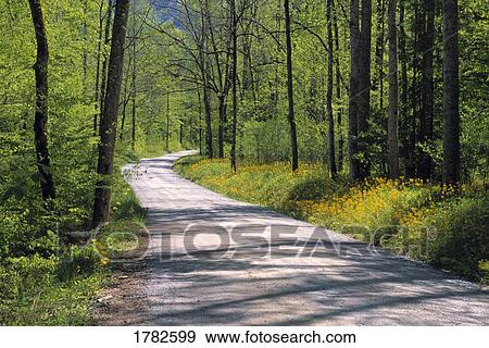 Stock Photo - Greenbrier Road and spring flowers. Fotosearch