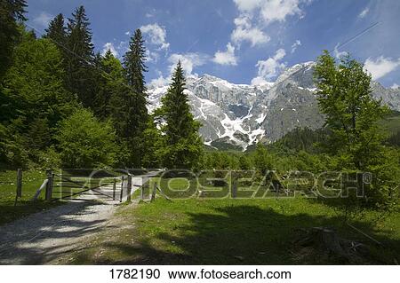 Stock Image - Pathway through alpine landscape. Fotosearch