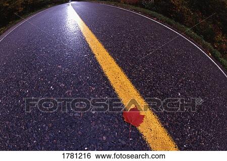 Stock Photograph - Road of change. Fotosearch