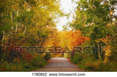 Scenic autumn road View Large Photo Image Stock Image - Scenic autumn road. Fotosearch
