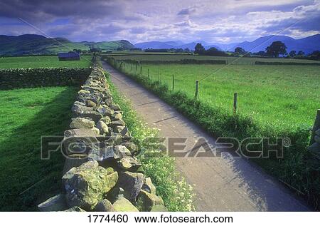 Stock Image - Small country road. Fotosearch
