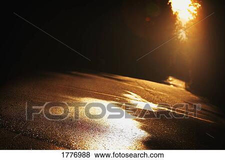 Sunlight on a Road View Large Photo Image Stock Photo - Sunlight on a Road. Fotosearch