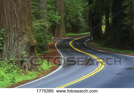 Winding road View Large Photo Image Stock Photography - Winding road. Fotosearch