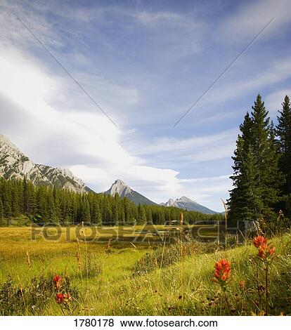 Stock Photo - A mountain scene. Fotosearch