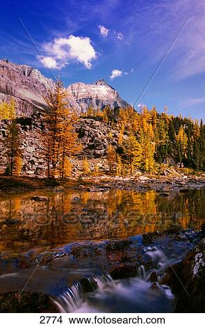 A scenic creek View Large Photo Image Picture - A scenic creek. Fotosearch