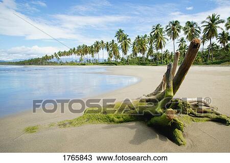 Stock Image - A tropical island. Fotosearch