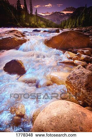 An enchanted forest View Large Photo Image Stock Photo - An enchanted forest. Fotosearch
