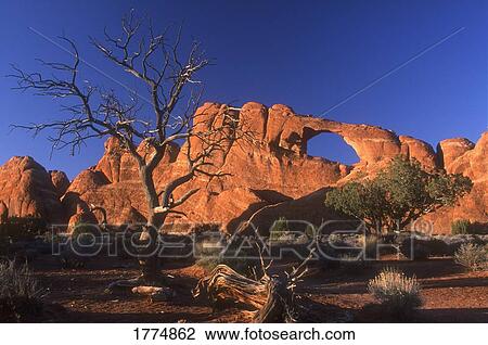 Stock Image - Desert scenery. Fotosearch