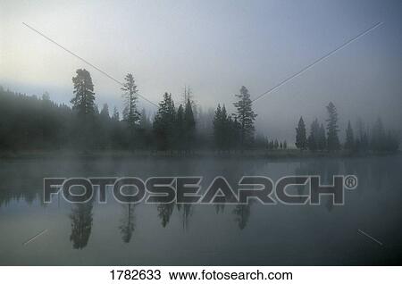 Morning fog over Yellowstone River View Large Photo Image Stock Image - Morning fog over Yellowstone River. Fotosearch