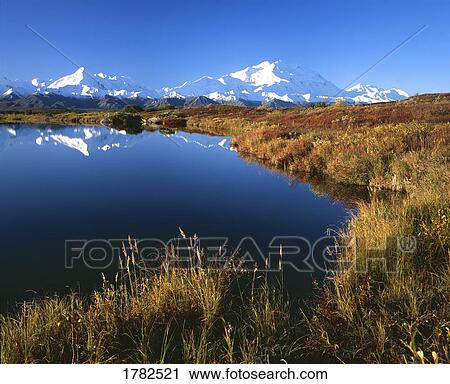 Mount McKinley reflected in pond View Large Photo Image Stock Image - Mount McKinley reflected in pond. Fotosearch