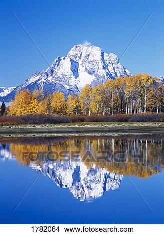 Picture - Mountain lined with autumn trees. Fotosearch