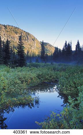 Mountain stream View Large Photo Image Stock Image - Mountain stream. Fotosearch