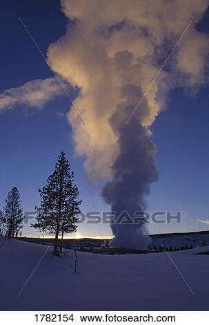 Old Faithful Geyser, Yellowstone National Park, Wyoming, USA View Large Photo Image Picture - Old Faithful Geyser, Yellowstone National Park, Wyoming, USA. Fotosearch