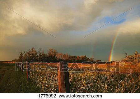 Rainbow in a field View Large Photo Image Stock Image - Rainbow in a field. Fotosearch