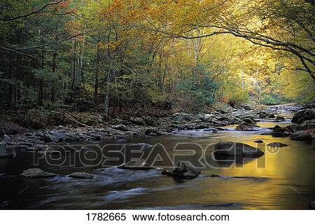 Stock Photography - River flowing over rocks and branches among colorful fall foliage. Fotosearch