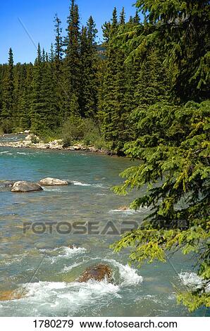 River with rapids View Large Photo Image Stock Photo - River with rapids. Fotosearch