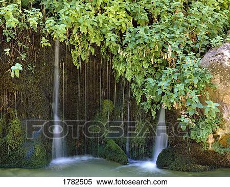 Scenic springs gushing out of rocks View Large Photo Image Stock Photography - Scenic springs gushing out of rocks. Fotosearch