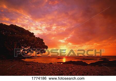 Stunning sunset over the sea View Large Photo Image Stock Photograph - Stunning sunset over the sea. Fotosearch