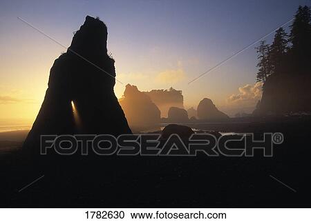 Sunset seen through sea stacks on a beach View Large Photo Image Stock Image - Sunset seen through sea stacks on a beach. Fotosearch