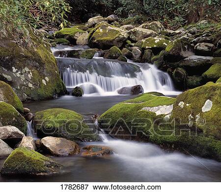 The Roaring Fork River rushes through forest over moss covered rocks View Large Photo Image Stock Photo - The Roaring Fork River rushes through forest over moss covered rocks. Fotosearch