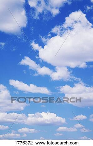 A fine day's clouds View Large Photo Image Stock Image - A fine day's clouds. Fotosearch