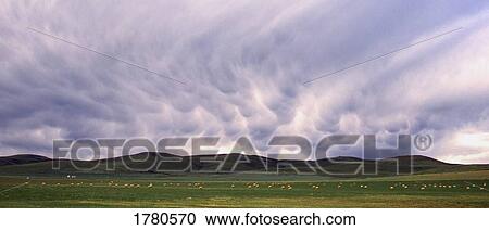 Clouds over field View Large Photo Image Stock Image - Clouds over field. Fotosearch