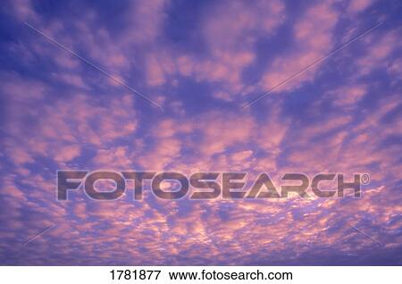 Stock Photo - Pink clouds. Fotosearch