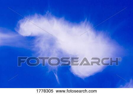 Stock Photography - Thin cloud. Fotosearch