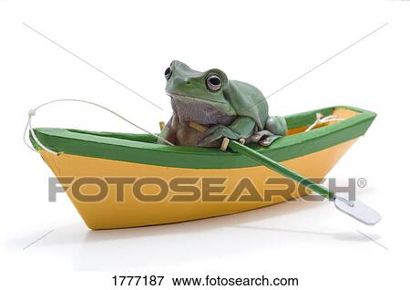 Stock Photo - A frog in a toy boat. Fotosearch