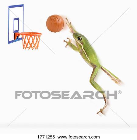 Stock Photography - Frog playing basketball. Fotosearch
