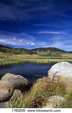 Stock Image - Boulders on Lily Pond, Beartooth Mountains. Fotosearch