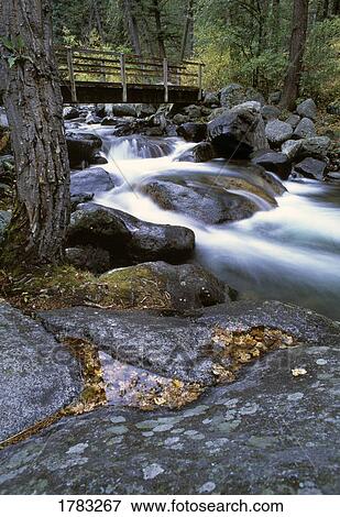 Footbridge over Woodbine Creek, Beartooth Mountains View Large Photo Image Stock Photo - Footbridge over Woodbine Creek, Beartooth Mountains. Fotosearch