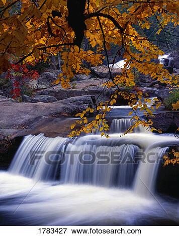 Nesowadnehunk Stream, rapids, autumn colors, Baxter State Park View Large Photo Image Stock Photo - Nesowadnehunk Stream, rapids, autumn colors, Baxter State Park. Fotosearch