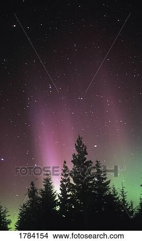 Picture - Northern Lights. Fotosearch
