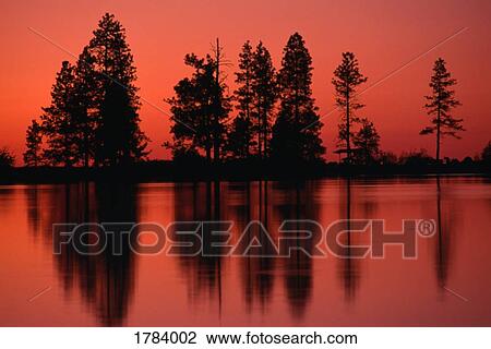 Stock Image - Reflected, silhouetted trees in Morgan Lake at sunset. Fotosearch
