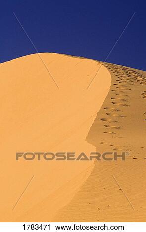 Stock Image - Sand Dune. Fotosearch