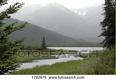 Stock Photograph - Scenic mountain stream. Fotosearch