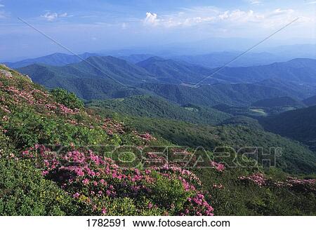 Stock Image - Scenic mountainside. Fotosearch