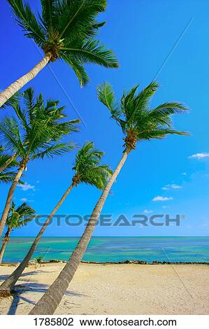 Stock Image - Scenic tropical beach. Fotosearch