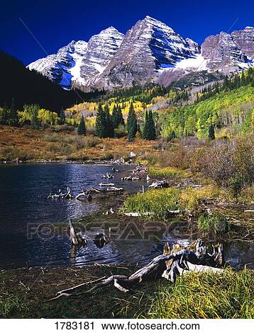 The Maroon Bells peaks, West Elk Mountains View Large Photo Image Stock Image - The Maroon Bells peaks, West Elk Mountains. Fotosearch