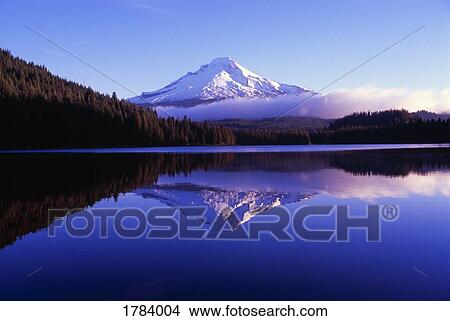 Trillium Lake with reflected Mount Hood at daybreak, Mount Hood National Forest View Large Photo Image Picture - Trillium Lake with reflected Mount Hood at daybreak, Mount Hood National Forest. Fotosearch