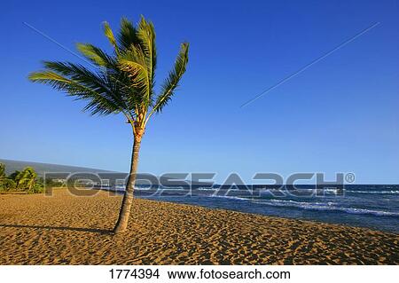 Vacant shore View Large Photo Image Picture - Vacant shore. Fotosearch