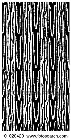 Clipart - Signs & Symbols - line art Africa Resist-dyed cloth from Cameroon. [Patterns & Motifs]. Fotosearch