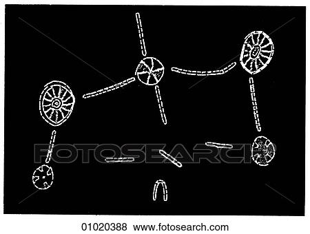 Signs & Symbols - line art Africa Cloth decorated with beads. Southern Africa. View Large Illustration Stock Illustration - Signs & Symbols - line art Africa Cloth decorated with beads. Southern Africa.. Fotosearch