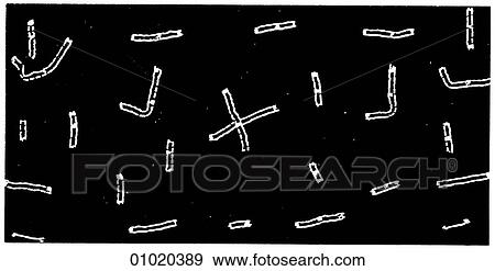 Stock Illustration - Signs & Symbols - line art Africa Decorated fabric from South Africa.. Fotosearch
